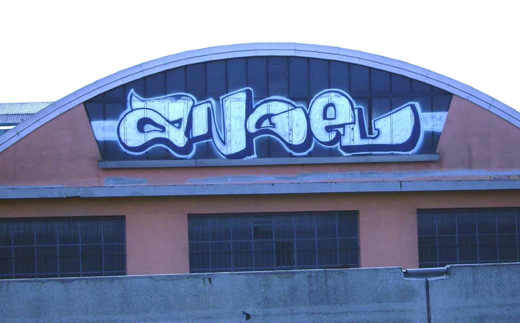 ANGEL  BOLLATE 2006
